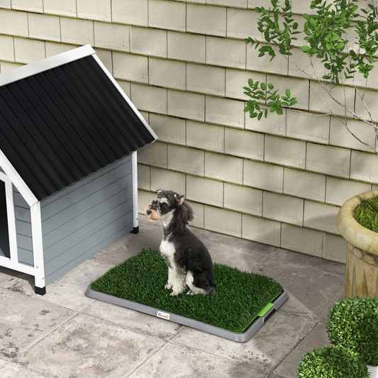 PawHut Dog Toilet with 2 Packs Artificial Grass Pads, 67 x 41cm, Green