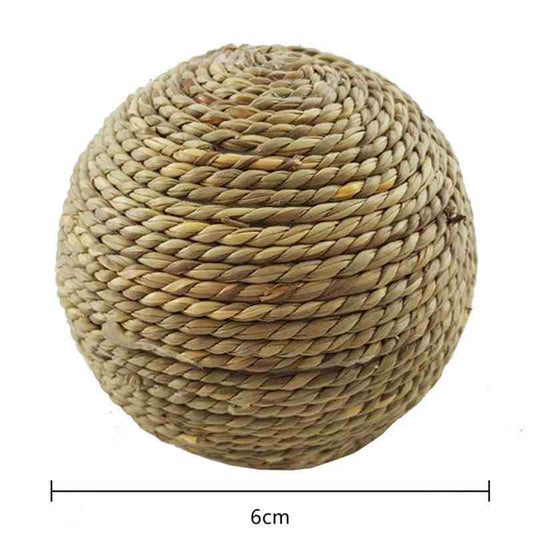 V12000037513383386_0.jpg