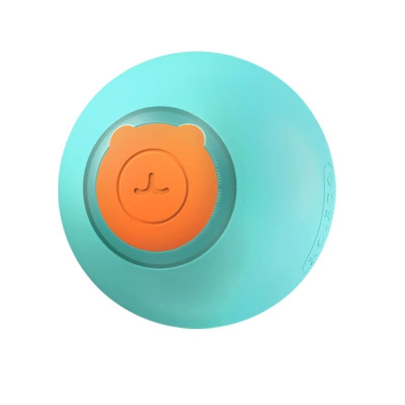 main.png